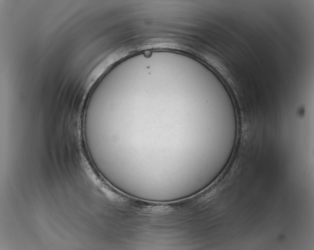 X0000115541282200911271401