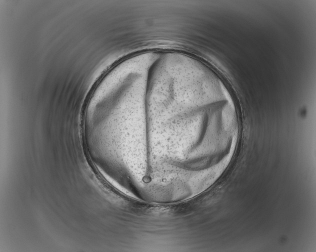 X0000115541283200911271401