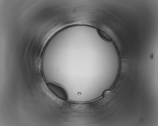 X0000115541284200911271401