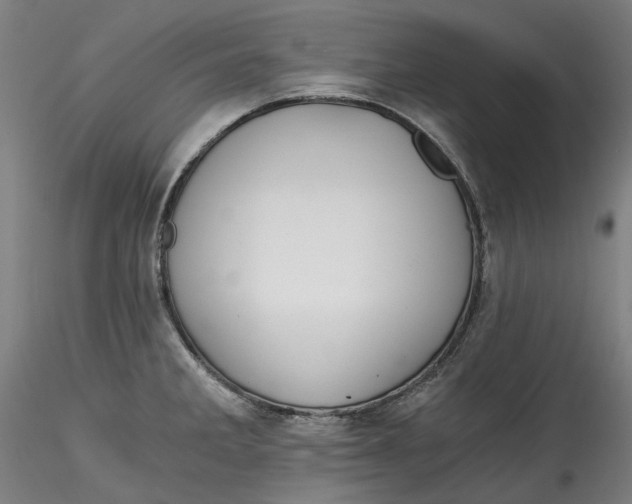 X0000115541285200911271401