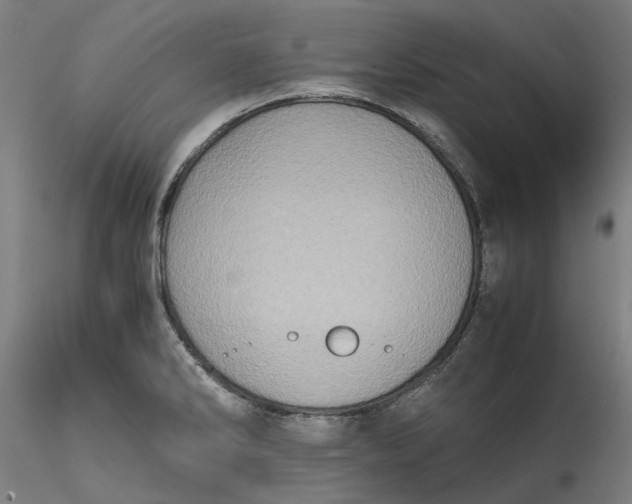 X0000115541286200911271401