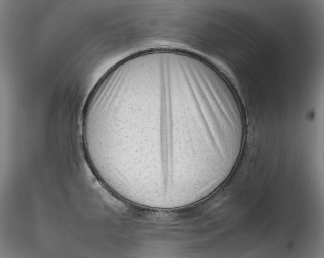 X0000115541287200911271401