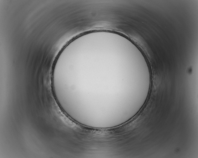 X0000115541288200911271401