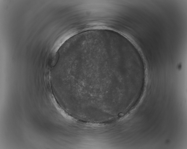 X0000115541289200911271401