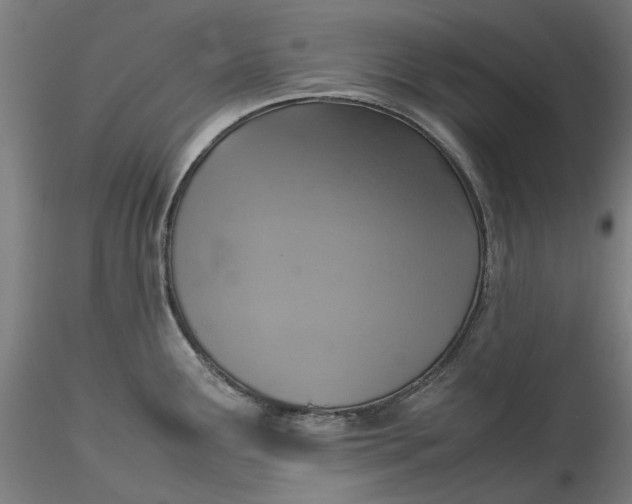 X0000115541291200911271401