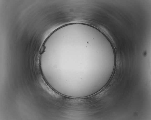 X0000115541292200911271401