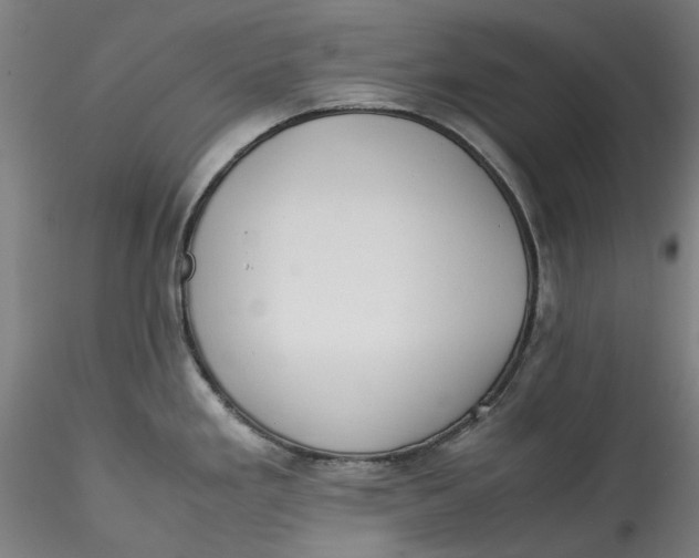 X0000115541293200911271401