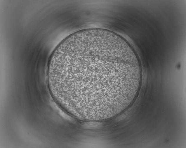 X0000115541294200911271401