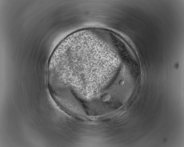 X0000115541295200911271401