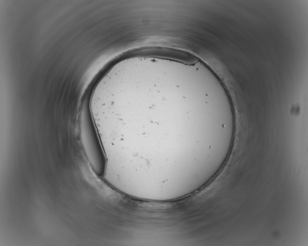 X0000115541296200911271401