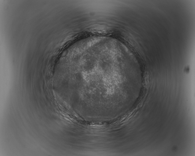 X0000115541297200911271400