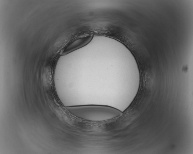 X0000115541298200911271400