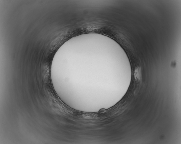 X0000115541299200911271400