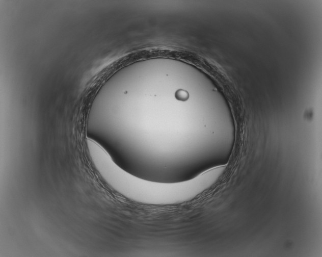 X0000115541303200911271400