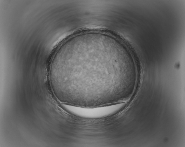 X0000115541306200911271400