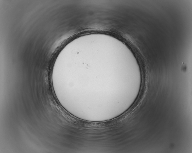 X0000115541307200911271401