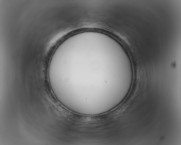 X0000115541311200911271401