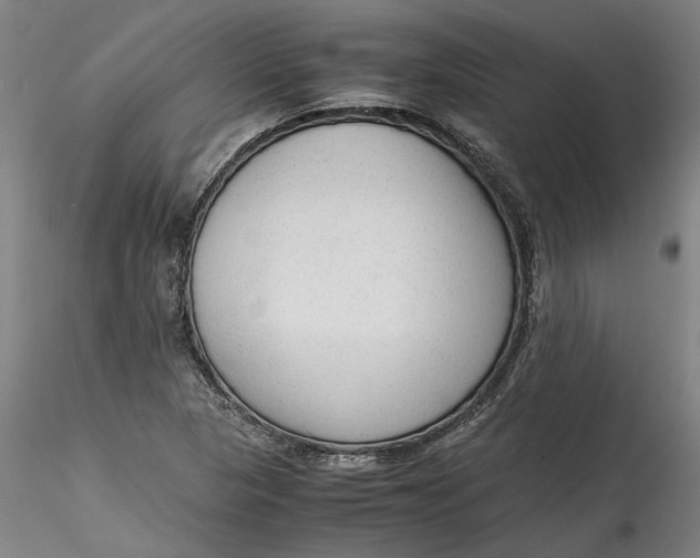 X0000115541313200911271401