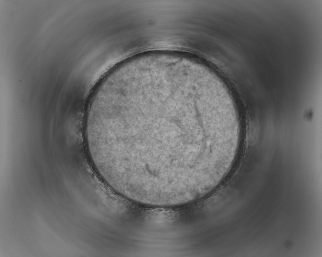 X0000115541314200911271401