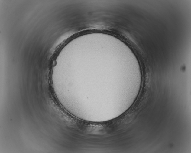 X0000115541315200911271401