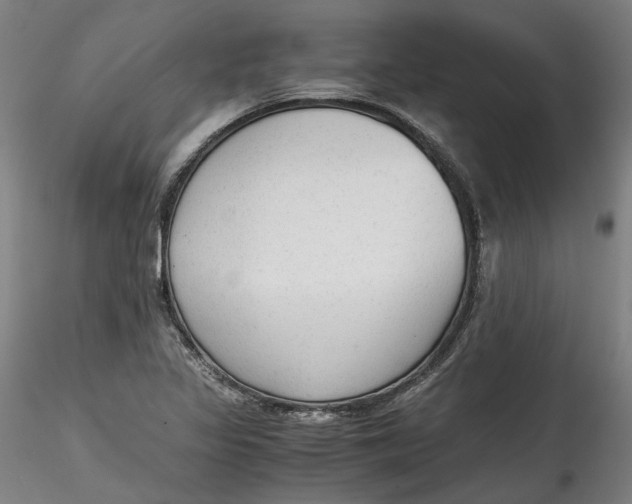 X0000115541317200911271401