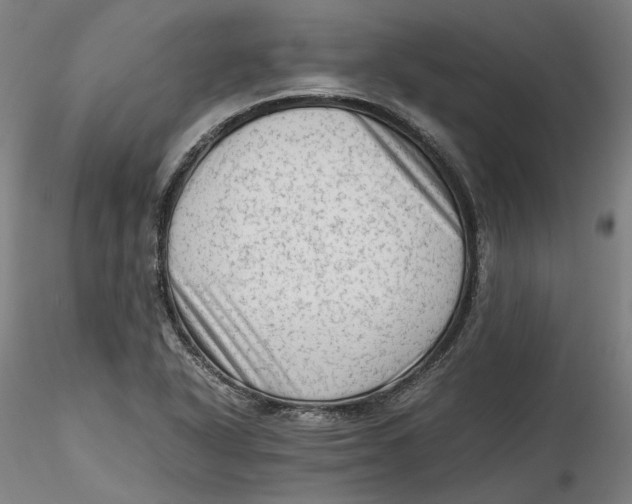 X0000115541318200911271401