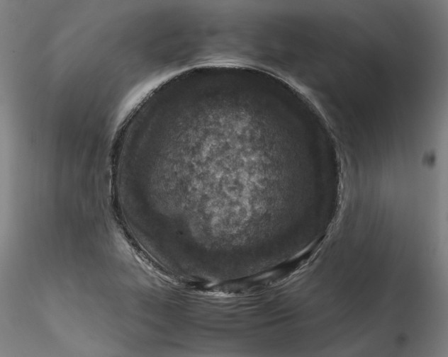 X0000115541319200911271401