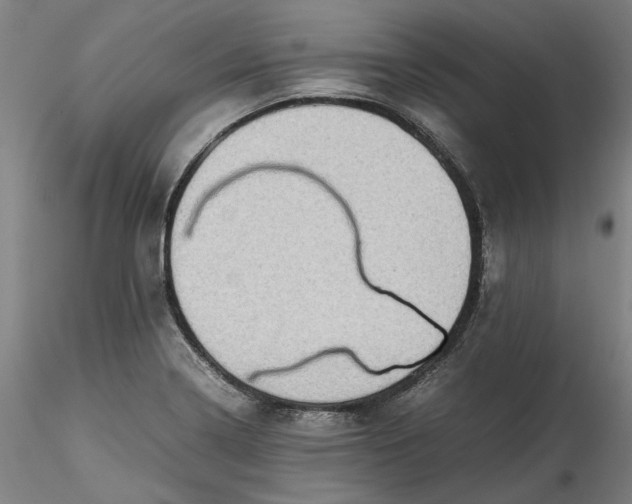 X0000115541322200911271401