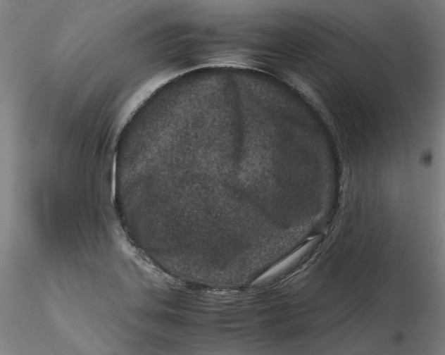 X0000115541323200911271401