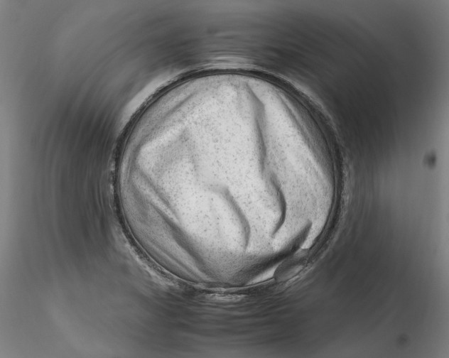 X0000115541325200911271401