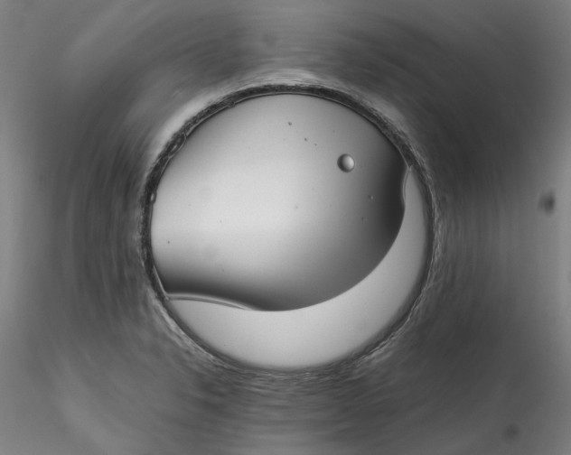 X0000115541326200911271401