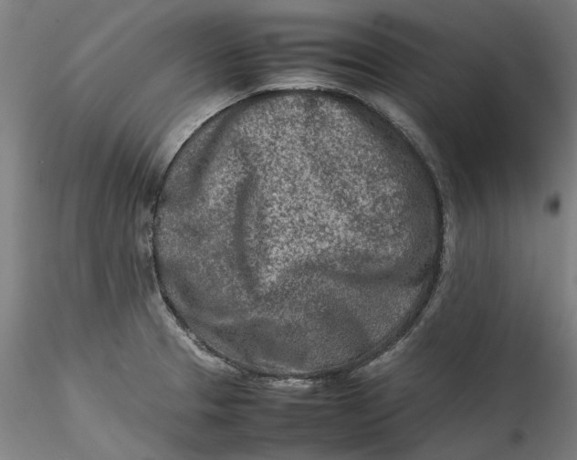 X0000115541329200911271401