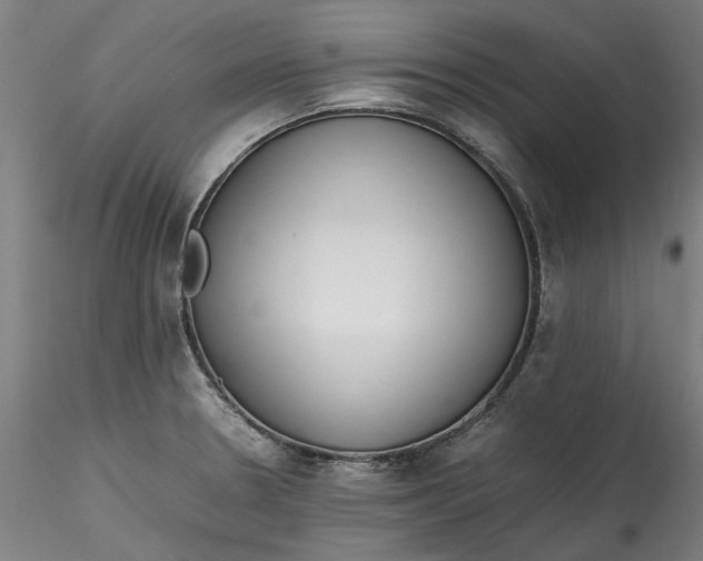 X0000115541330200911271401