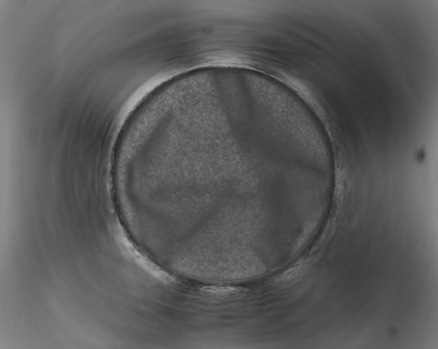 X0000115541331200911271401