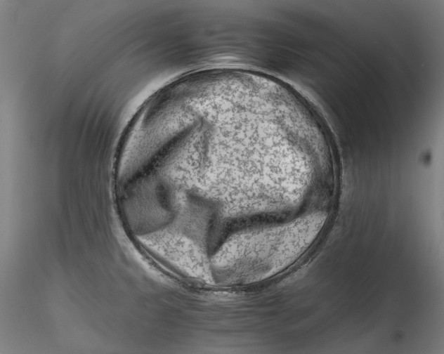 X0000115541333200911271401