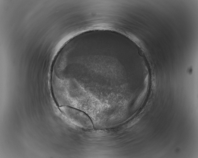 X0000115541334200911271401