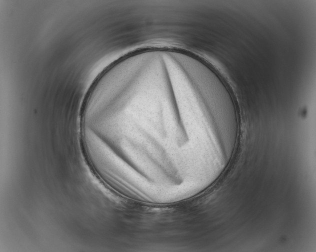 X0000115541335200911271401