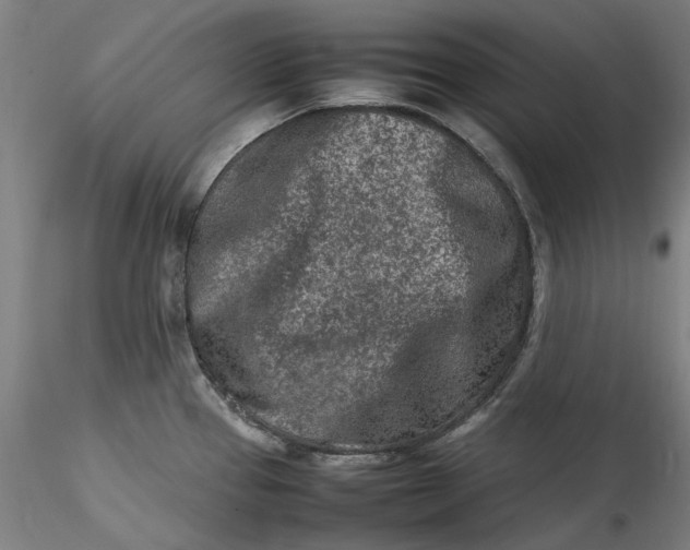 X0000115541337200911271401