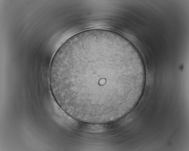 X0000115541338200911271401