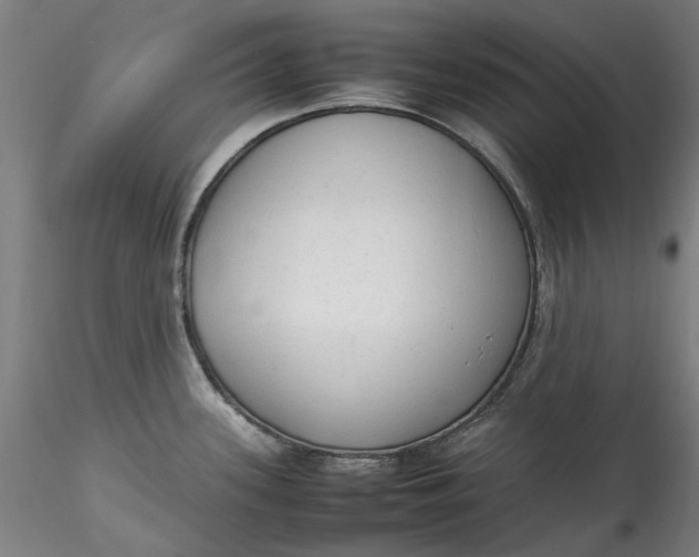 X0000115541339200911271401