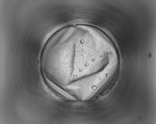 X0000115541341200911271401