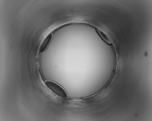 X0000115541342200911271401