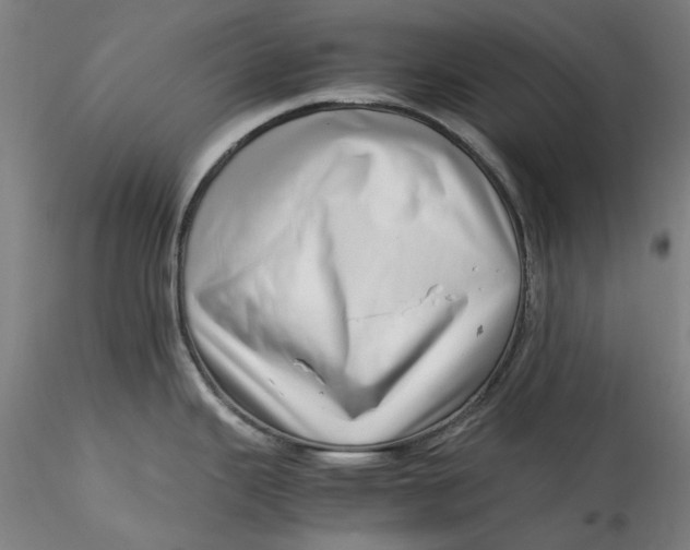 X0000115541343200911271401