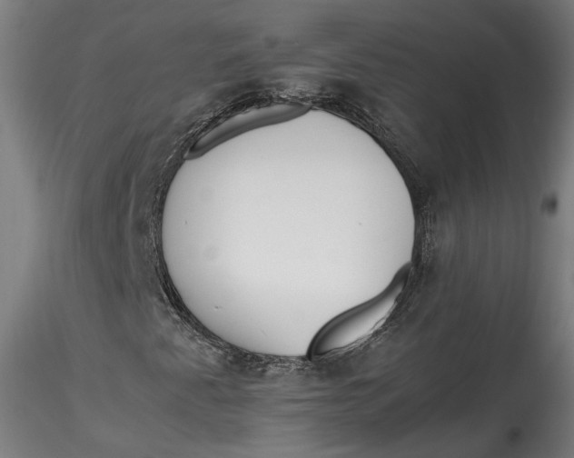 X0000115541345200911271400