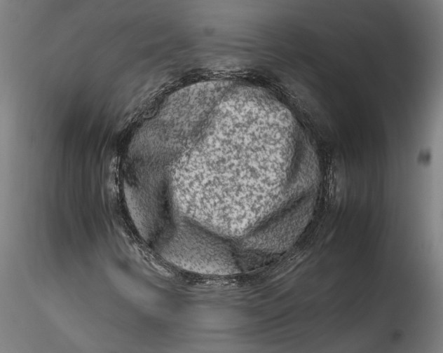 X0000115541346200911271400