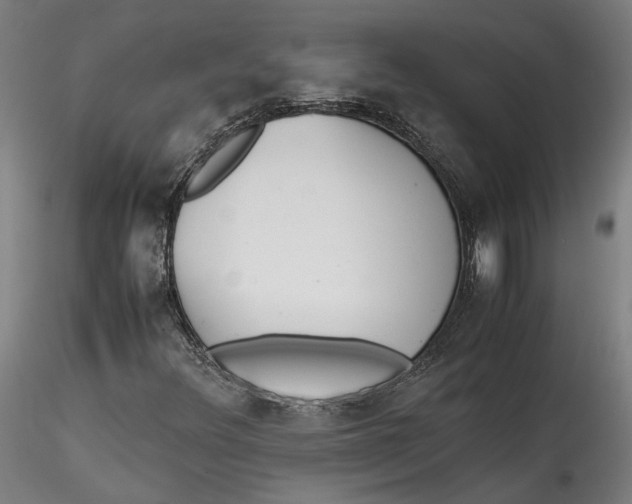 X0000115541348200911271400