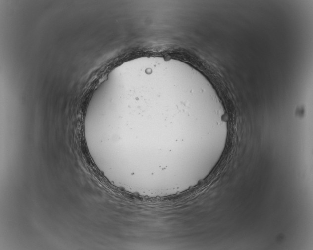 X0000115541349200911271400