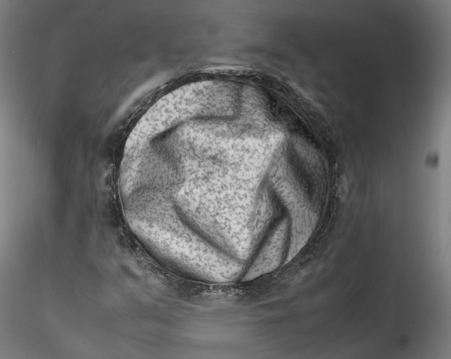 X0000115541351200911271400