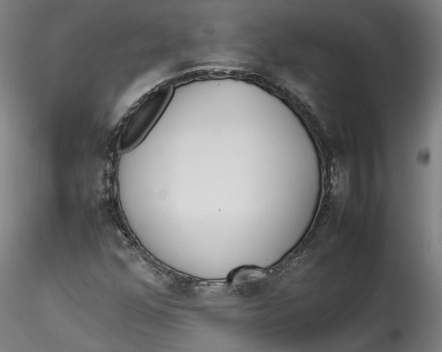 X0000115541352200911271400