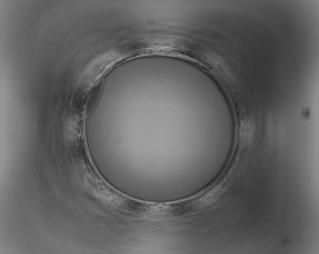 X0000115541353200911271400